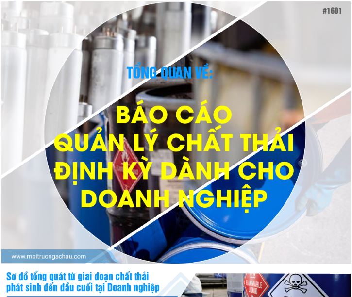 Infographic - Hướng dẫn thực hiện Báo cáo quản lý chất thải định kỳ dành cho doanh nghiệp