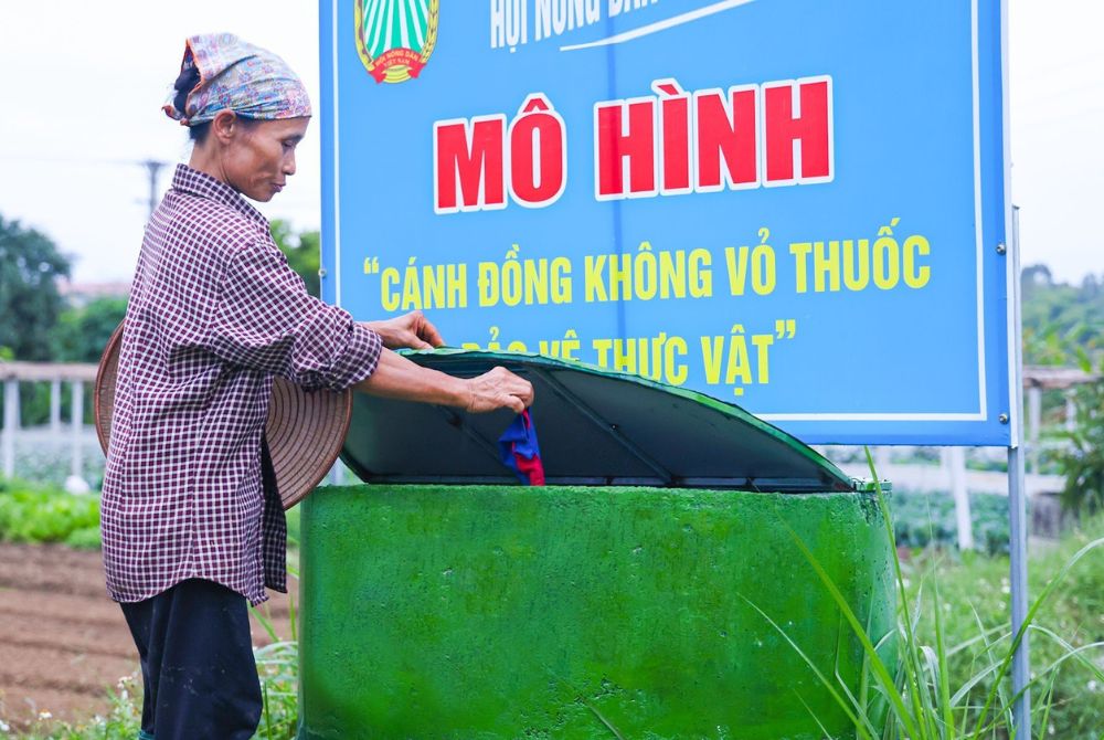 Vĩnh Phúc: Hiệu quả mô hình “Cánh đồng không vỏ thuốc bảo vệ thực vật” 