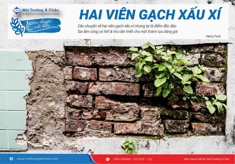 hai viên gạch xấu xí