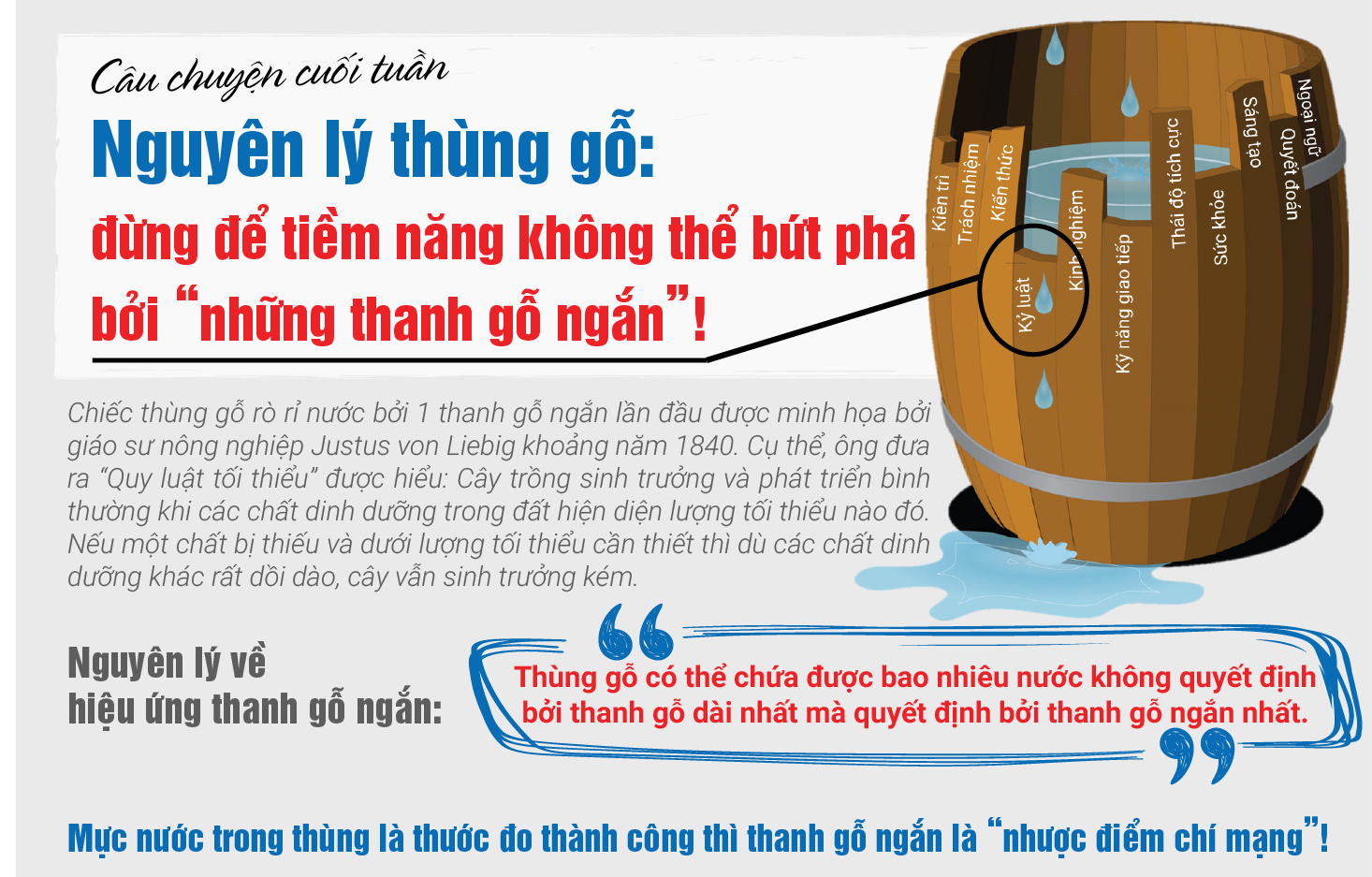 Câu chuyện cuối tuần - Nguyên lý thùng gỗ: đừng để tiềm năng không thể bứt phá bởi “những thanh gỗ ngắn”!