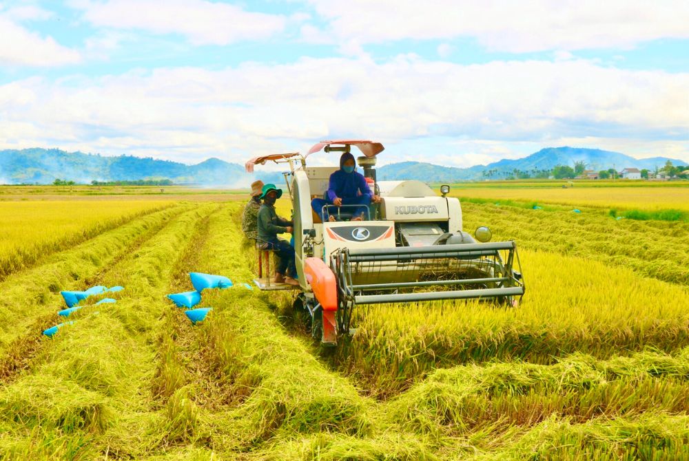 Phát triển bền vững lựa chọn tất yếu!