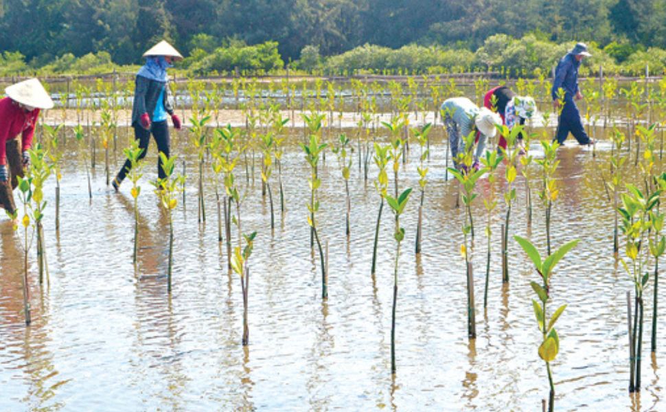 Biến đổi khí hậu