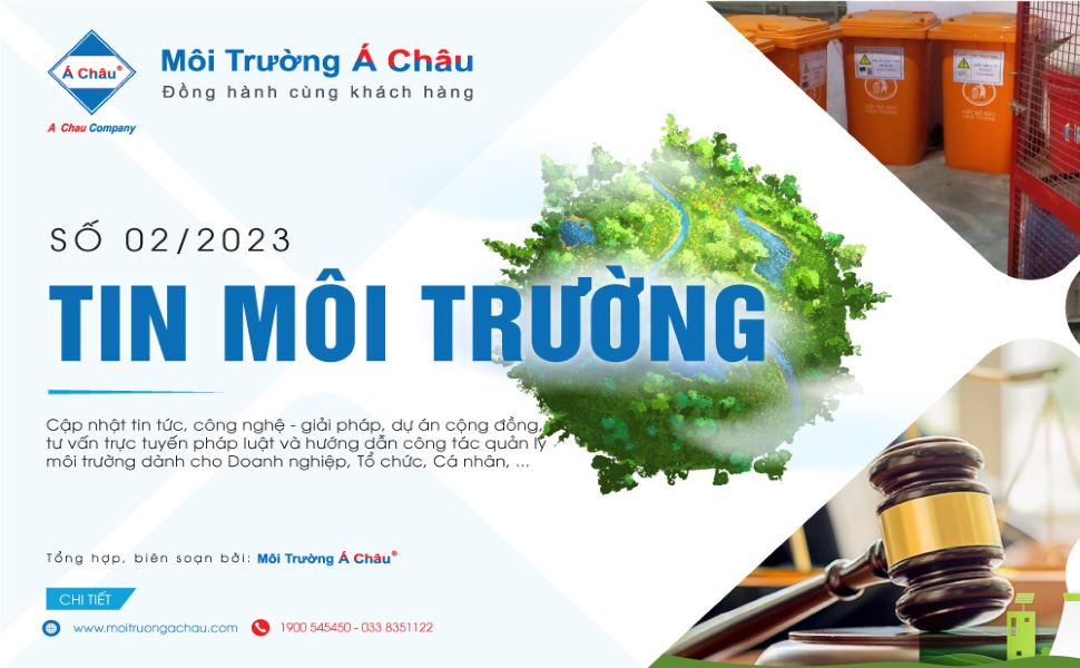 tin môi trường tổng hợp 