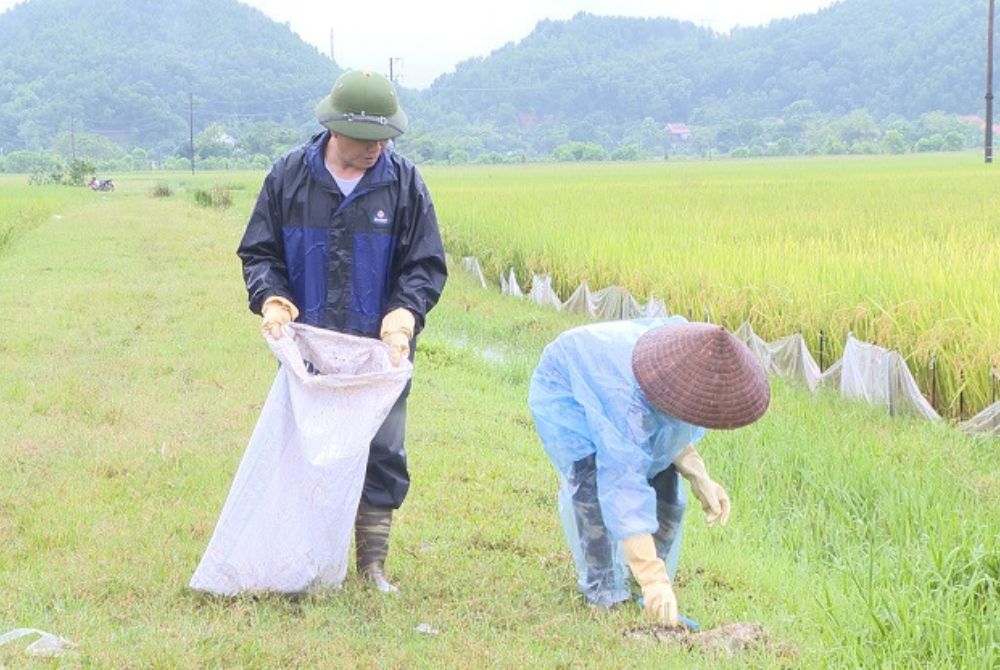 Thu gom vỏ bao bì thuốc bảo vệ thực vật ở Nậm Pồ