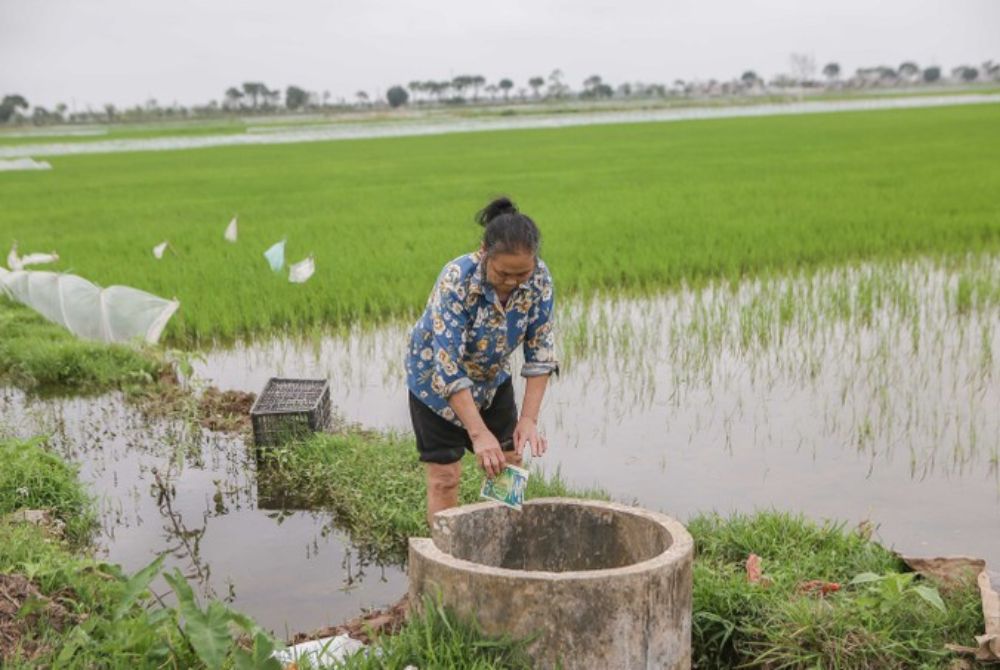 Hiệu quả của mô hình "Bể chứa vỏ bao bì thuốc bảo vệ thực vật" tại Nam Định