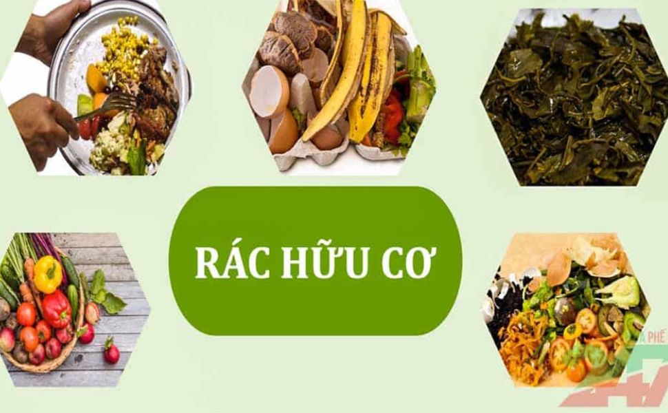 Xử lý rác hữu cơ