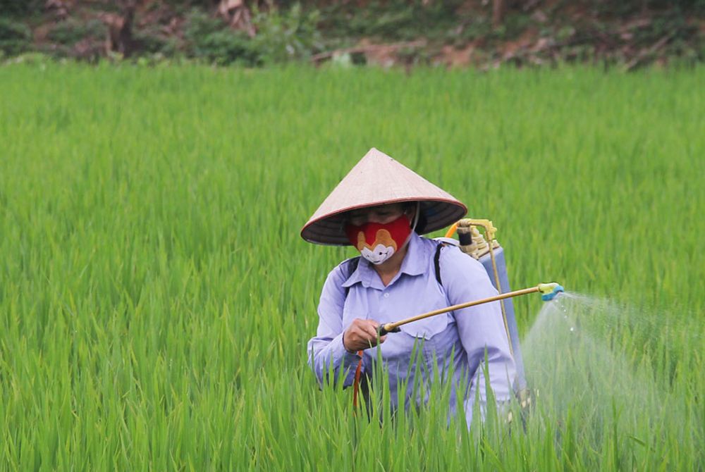 Hải Phòng: Hội Nông Dân Xã Tam Cường thu gom vỏ thuốc bao bì bảo vệ thực vật