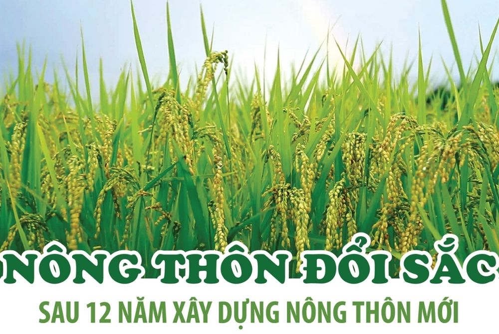 Nông thôn khởi sắc sau 12 năm xây dựng nông thôn mới