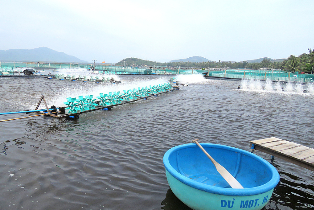 Diễn biến chất lượng môi trường nước trên tôm hùm, cá nước lạnh, cá biển trong tháng 3 năm 2023 tại 29 tỉnh đại diện cho 63 tỉnh, thành phố trên cả nước