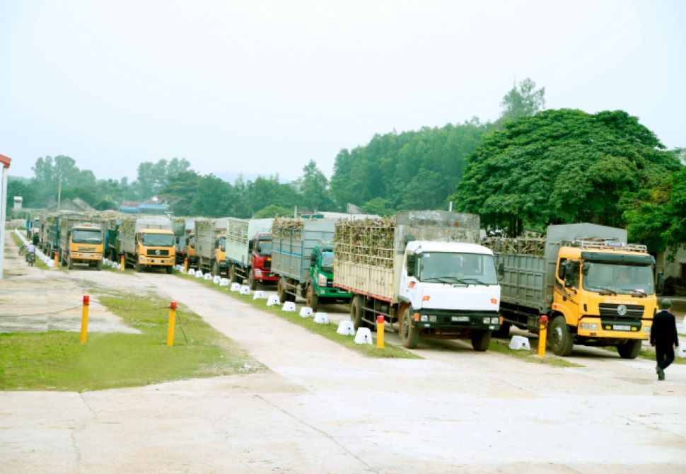 Nguyên liệu sản xuất năng lượng sạch - mô hình kinh tế tuần hoàn!