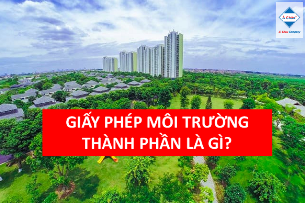 Từ năm 2022 giấy phép môi trường thành phần là gì?