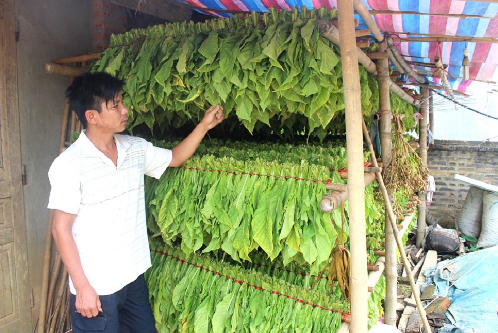 Kế hoạch thực hiện Chương trình phát triển du lịch nông thôn trong xây dựng nông thôn mới giai đoạn 2023-2025 trên địa bàn tỉnh Cao Bằng