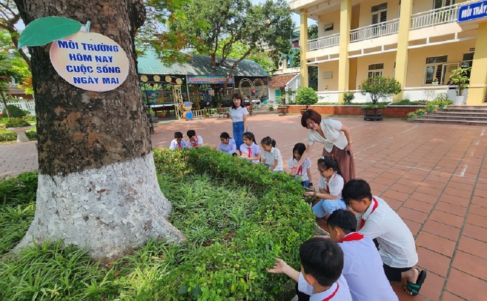 trường học xanh