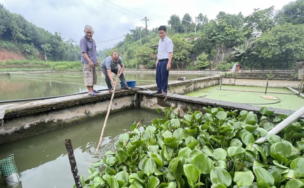 Phòng, chống ô nhiễm nguồn nước nuôi thủy sản