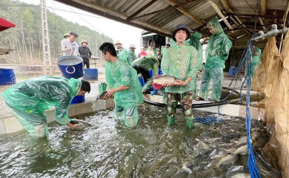 Phòng, chống ô nhiễm nguồn nước nuôi thủy sản