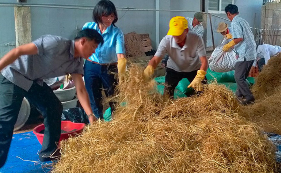 Tái chế rác thải nông nghiệp, bảo vệ môi trường nông thôn!