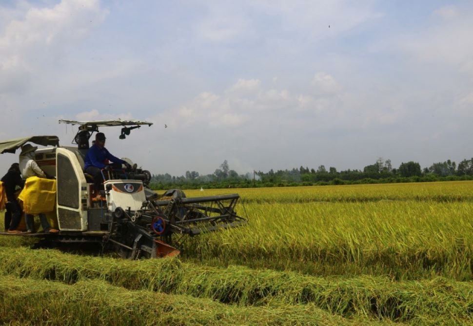 Hậu Giang: Tập trung chuyển đổi năng lượng xanh, thích ứng biến đổi khí hậu!