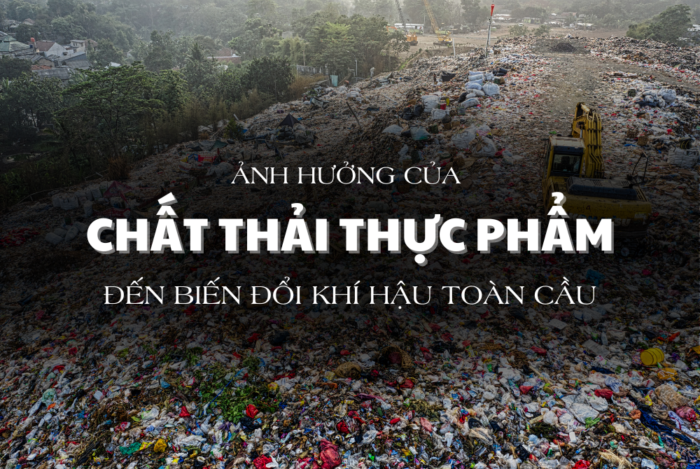 Khám phá ảnh hưởng của chất thải thực phẩm đến biến đổi khí hậu toàn cầu