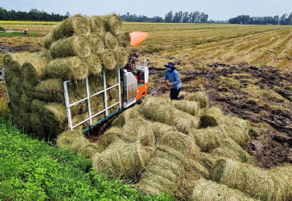 Tái sử dụng phụ phẩm nông nghiệp góp phần bảo vệ môi trường!