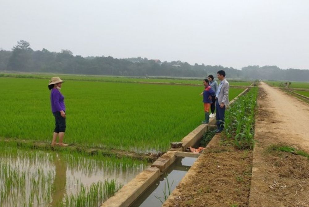 Sơn Tây: Thị xã Sơn Tây nỗ lực hoàn thành kế hoạch xây dựng nông thôn mới kiểu mẫu