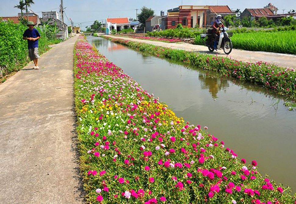 Quảng Ngãi: Ban hành Bộ tiêu chí thôn nông thôn mới kiểu mẫu giai đoạn 2021-2025