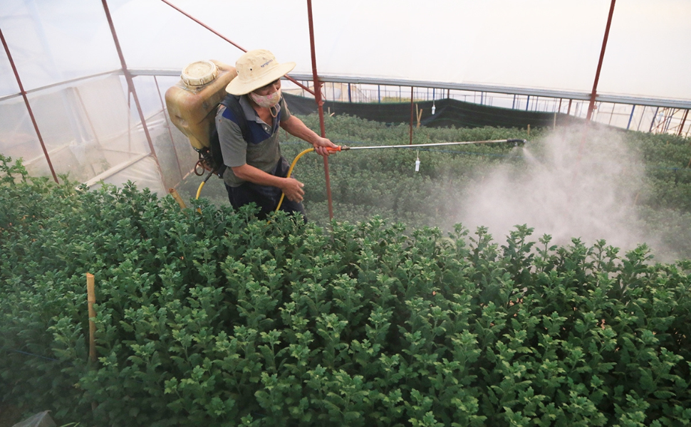 Đề phòng hiểm họa từ bao bì thuốc bảo vệ thực vật!