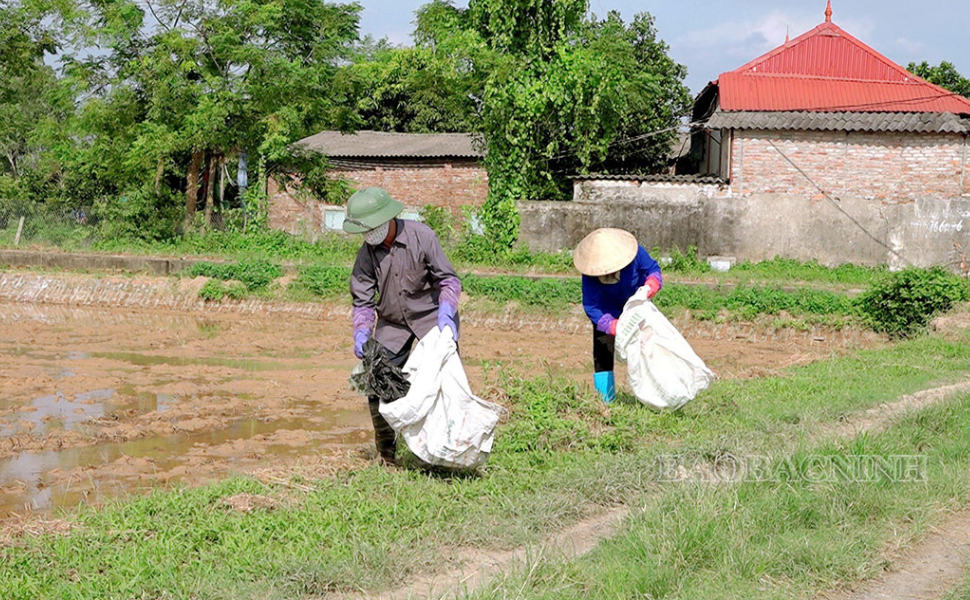 Nông dân Bắc Ninh chuyển giao, hướng dẫn kỹ thuật thực hiện mô hình bảo vệ môi trường!