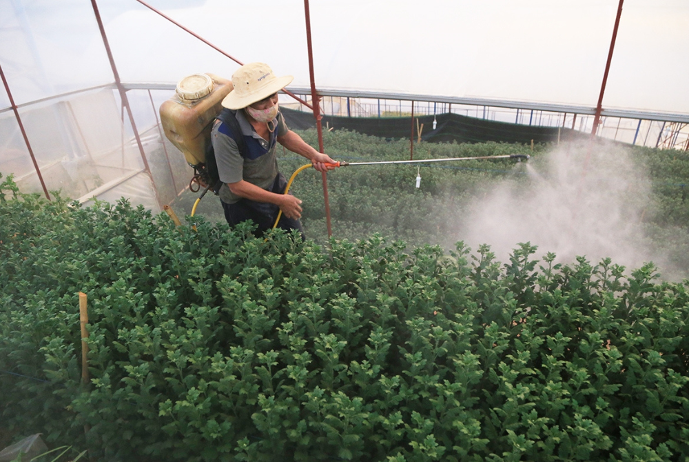 Đề phòng hiểm họa từ bao bì thuốc bảo vệ thực vật!