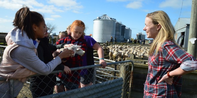 ashburton-school-mary-holmes-shows-students-a-newborn-lamb-1545367847175723629623