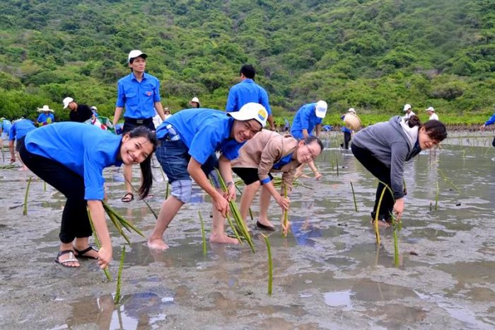 Quảng Ngãi: 20 tỷ đồng hỗ trợ người dân nâng cao năng lực chống chịu với biến đổi khí hậu