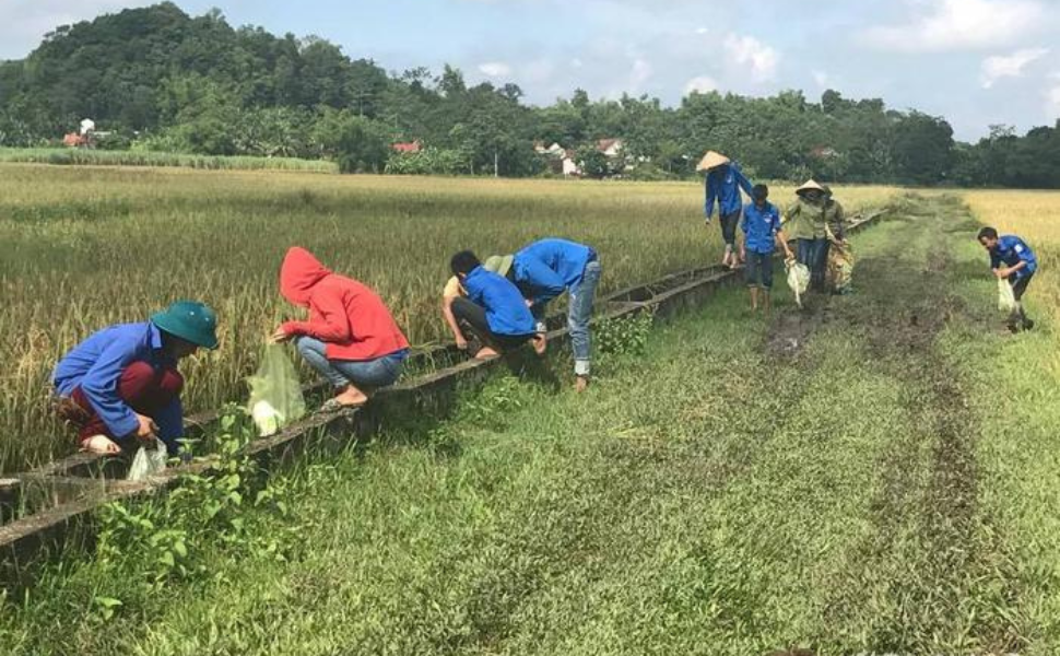  Lắp đặt hàng trăm bể đựng vỏ thuốc bảo vệ thực vật tại Nghĩa Đàn!