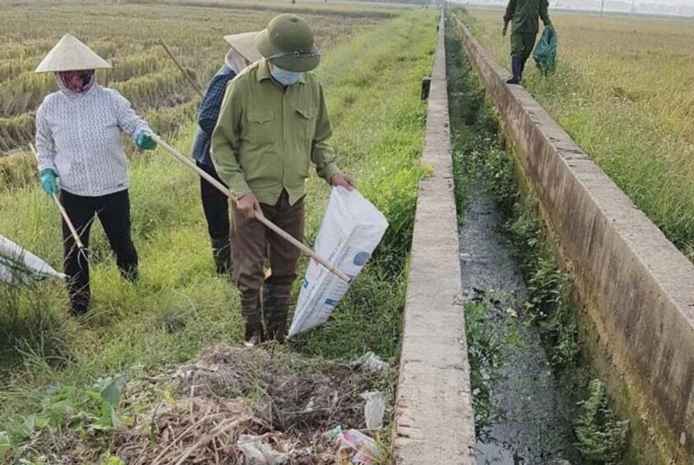 Hải Dương: Hiệu quả mô hình "Cánh đồng không rác thải" ở huyện Tứ Kỳ